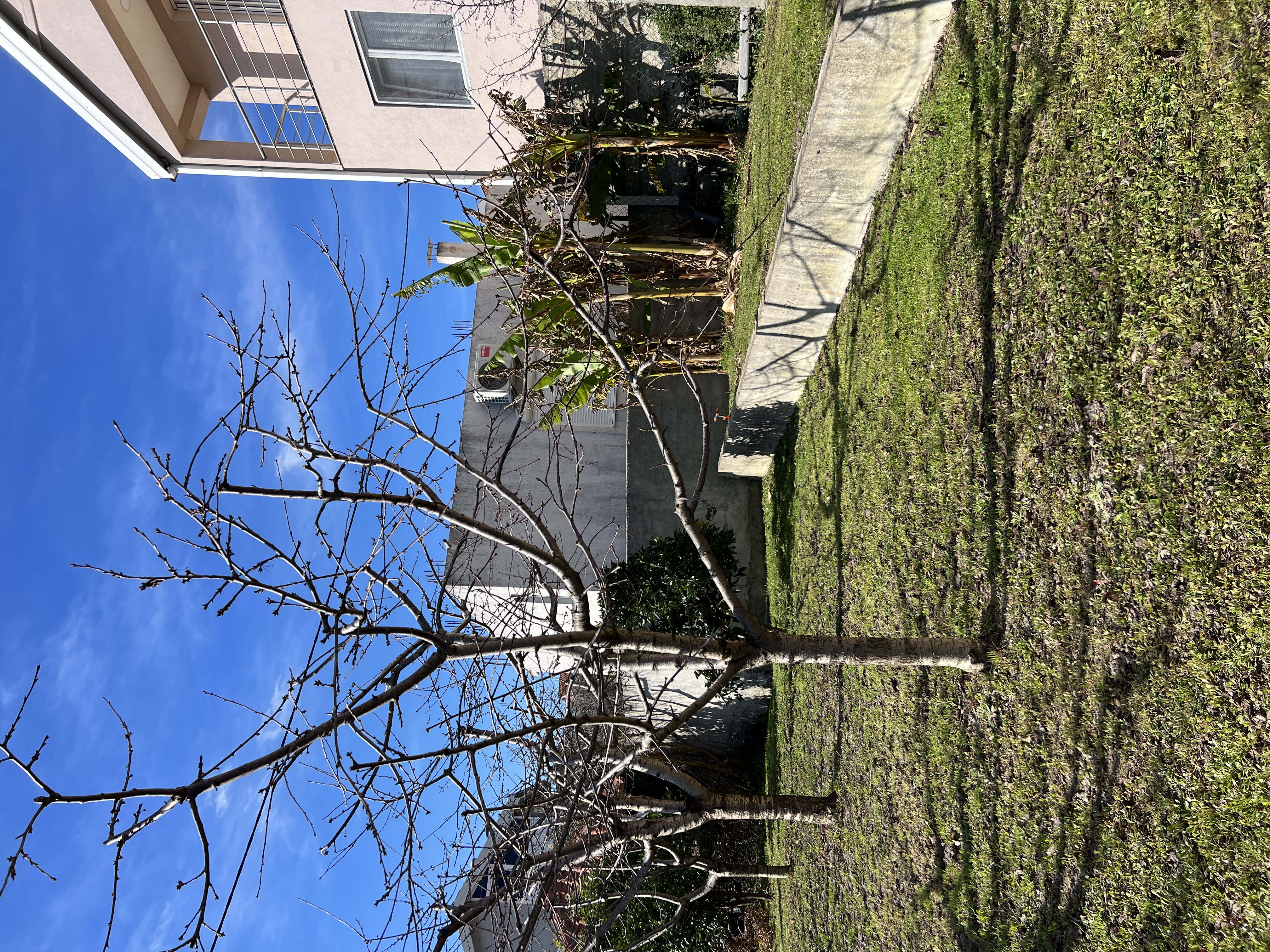 property_gallery_img_4896