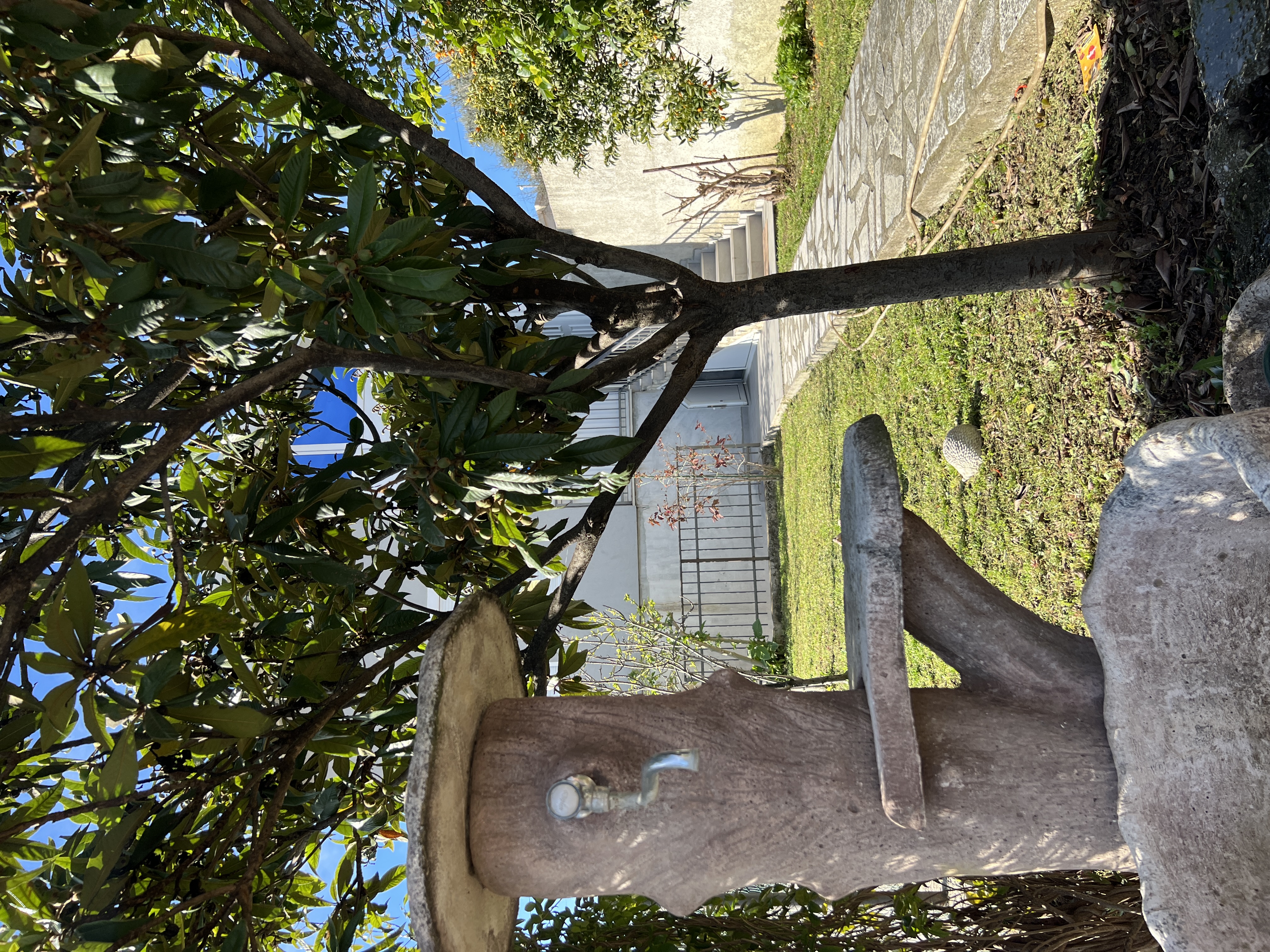 property_gallery_img_4898