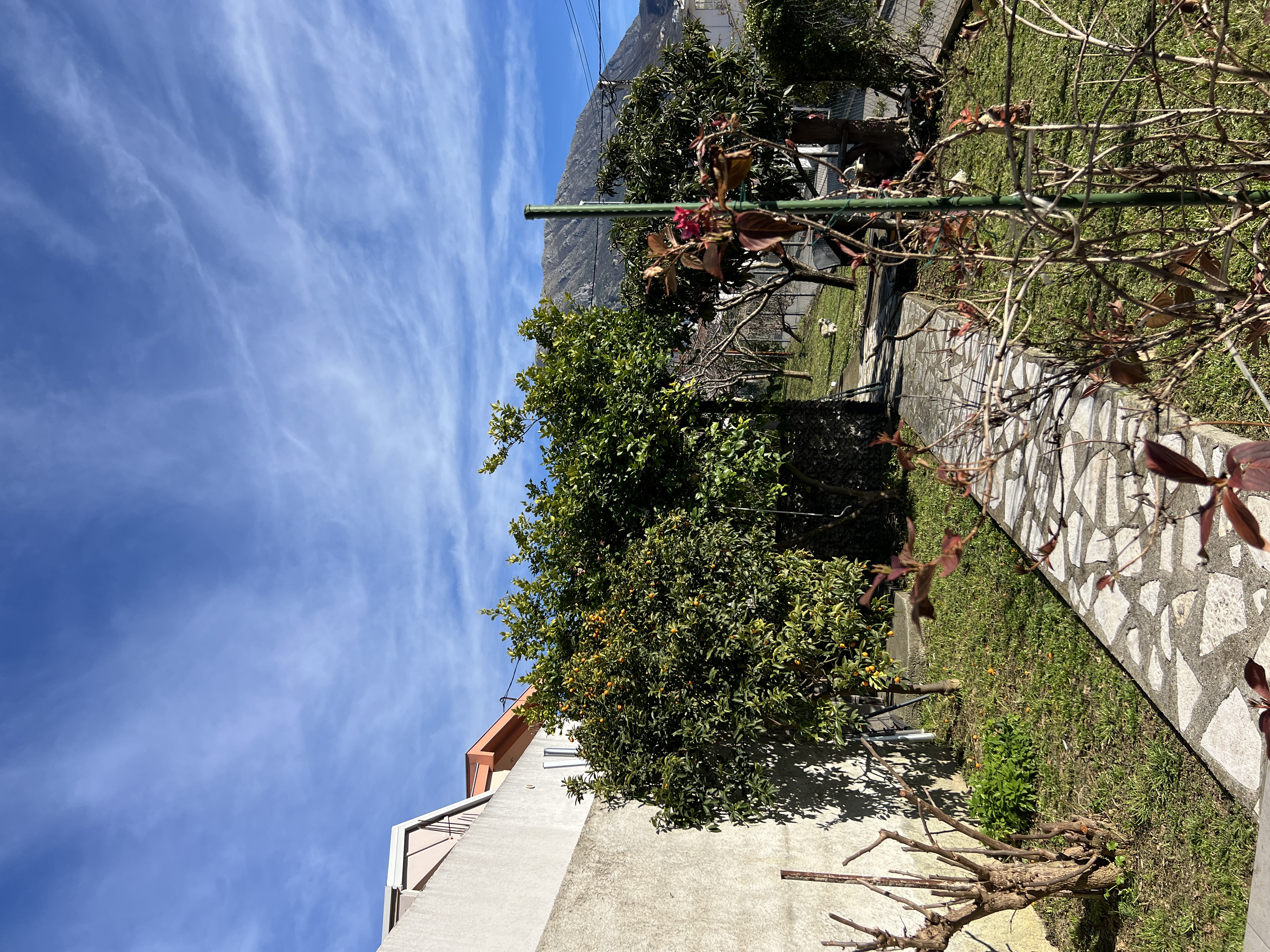 property_gallery_img_4901